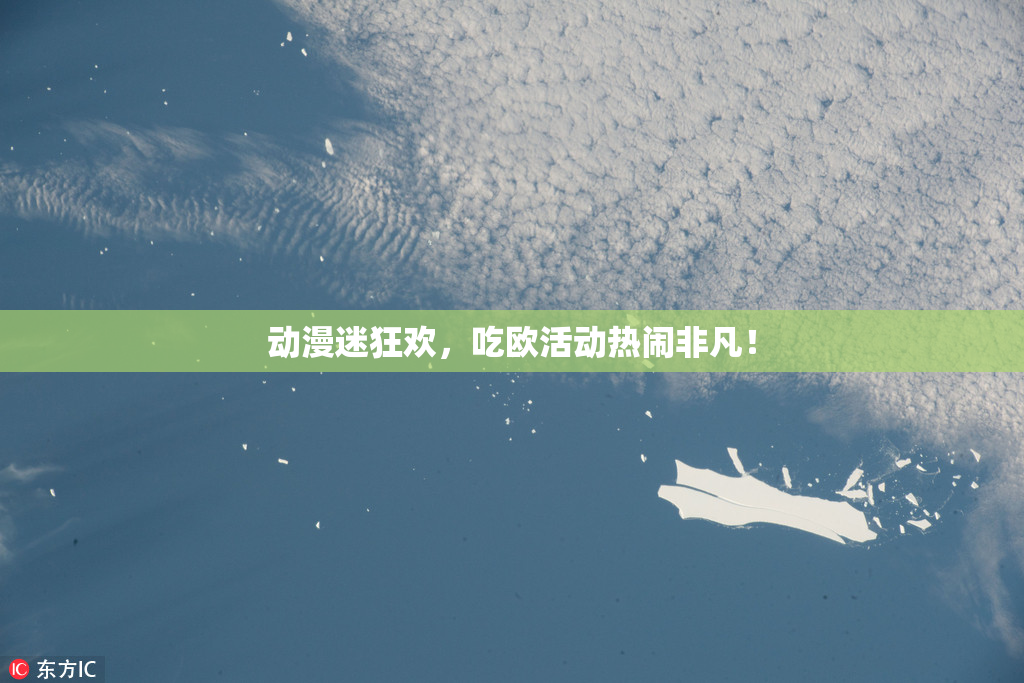 动漫迷狂欢，吃欧活动热闹非凡！