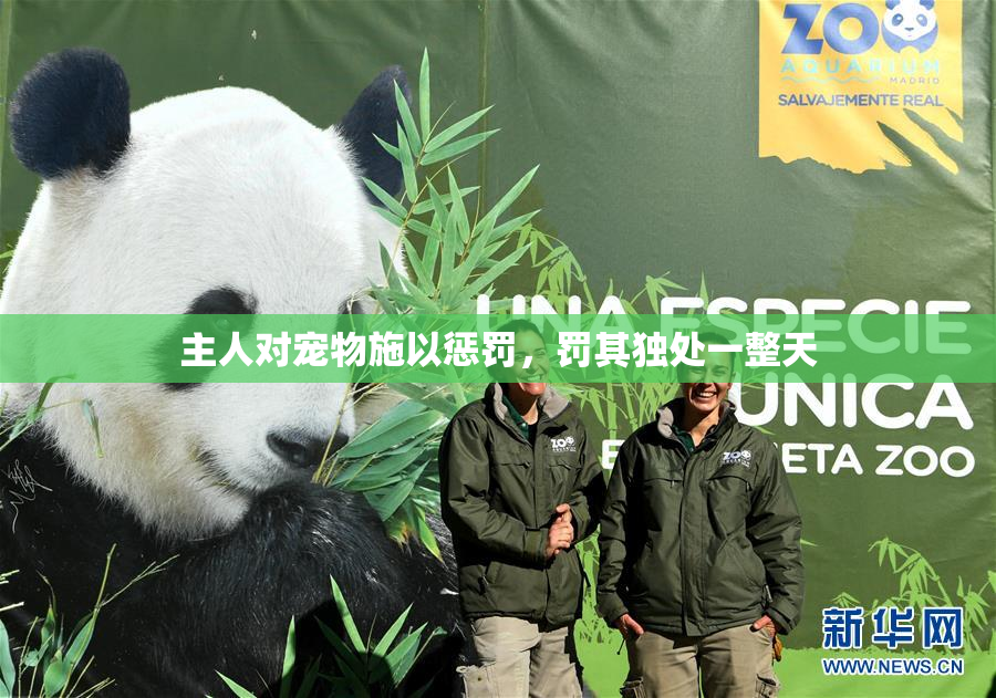 主人对宠物施以惩罚，罚其独处一整天