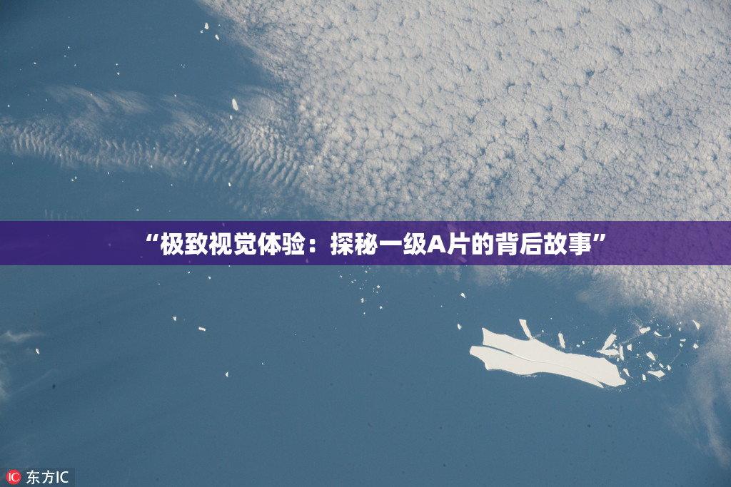 “极致视觉体验：探秘一级A片的背后故事”