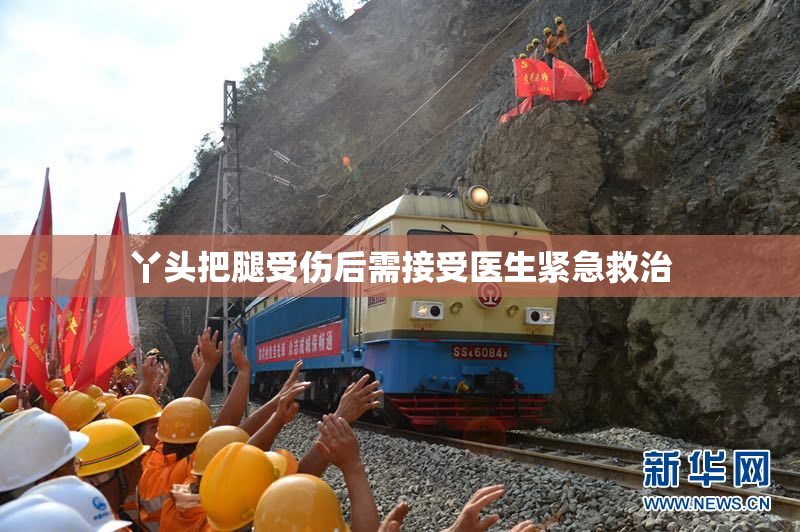 丫头把腿受伤后需接受医生紧急救治