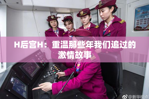 H后宫H：重温那些年我们追过的激情故事