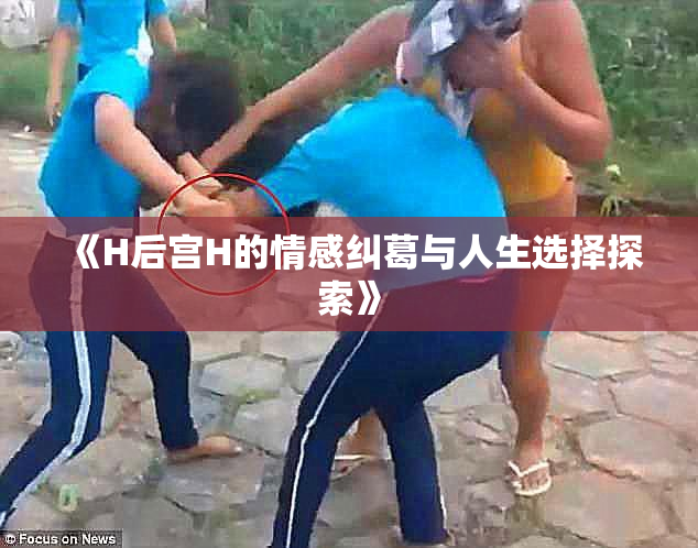 《H后宫H的情感纠葛与人生选择探索》