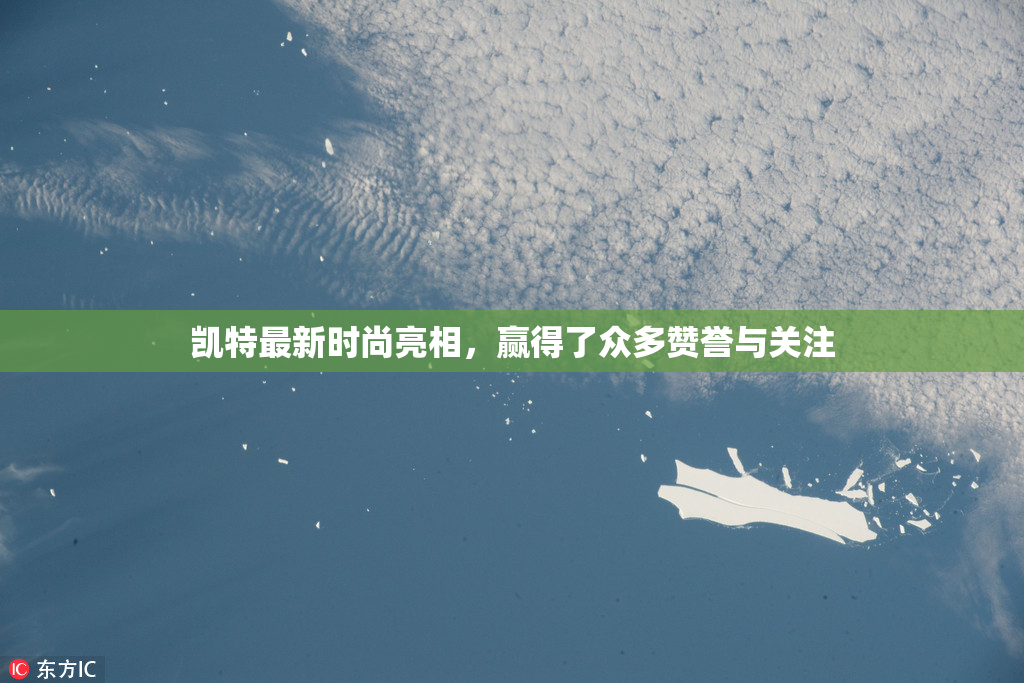 凯特最新时尚亮相，赢得了众多赞誉与关注
