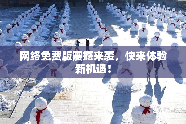 网络免费版震撼来袭，快来体验新机遇！