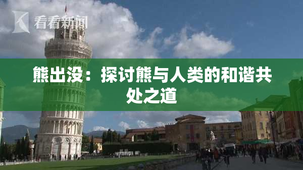 熊出没：探讨熊与人类的和谐共处之道