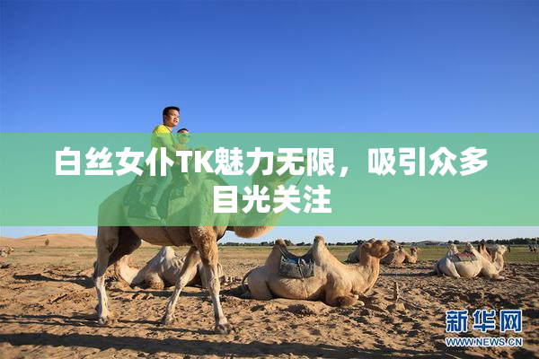 白丝女仆TK魅力无限，吸引众多目光关注