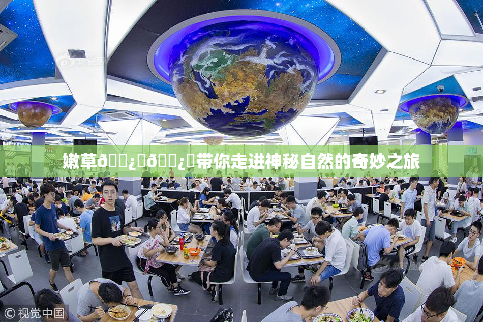 嫩草🌿‌🌿‌带你走进神秘自然的奇妙之旅