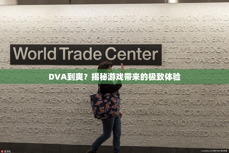 DVA到爽？揭秘游戏带来的极致体验
