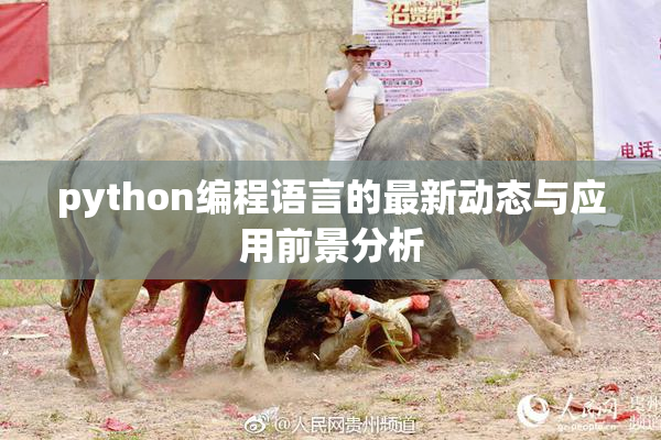 python编程语言的最新动态与应用前景分析