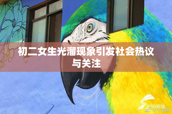 初二女生光溜现象引发社会热议与关注