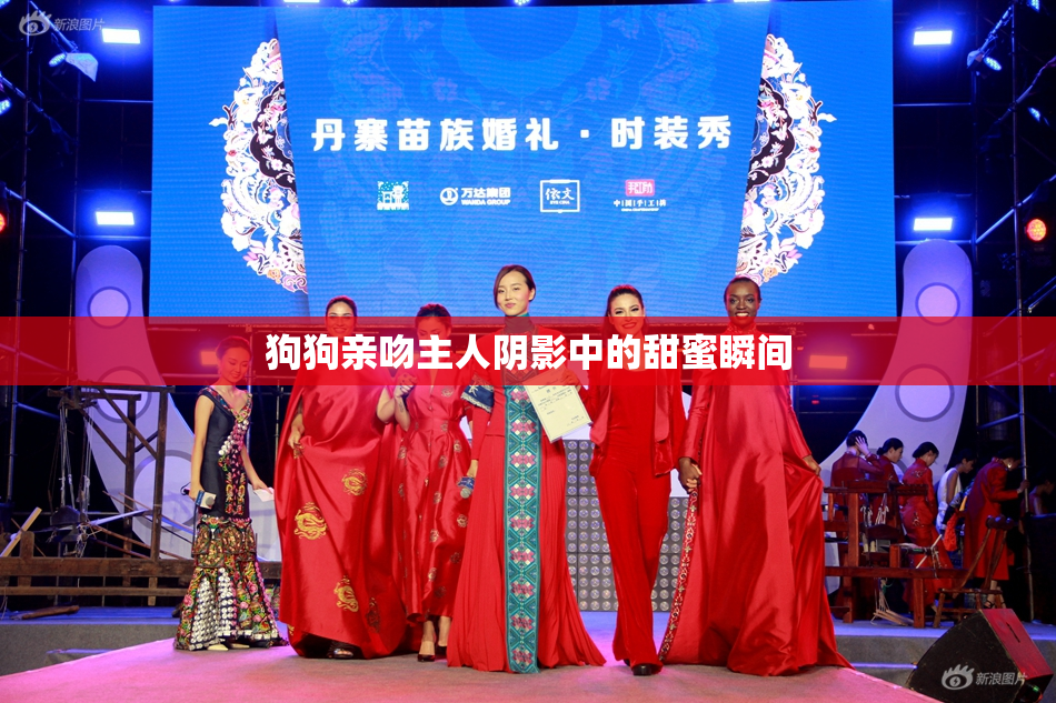 狗狗亲吻主人阴影中的甜蜜瞬间