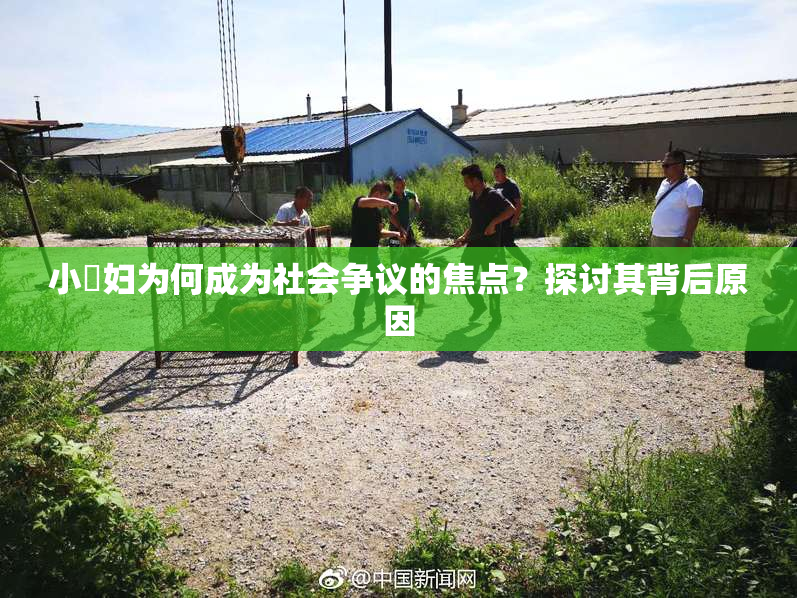小婬妇为何成为社会争议的焦点？探讨其背后原因