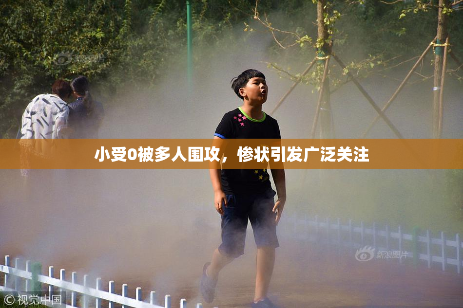 小受0被多人围攻，惨状引发广泛关注