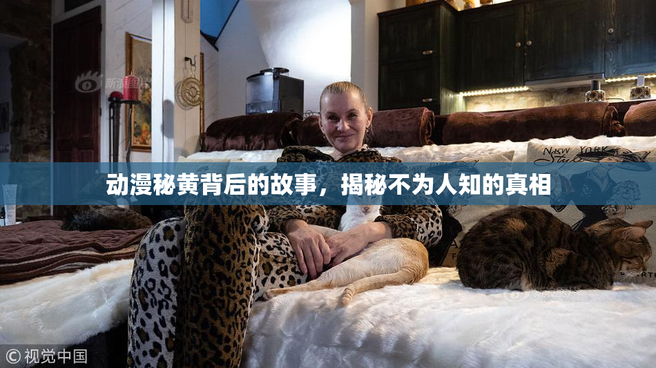 动漫秘黄背后的故事，揭秘不为人知的真相