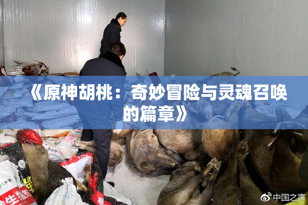 《原神胡桃：奇妙冒险与灵魂召唤的篇章》