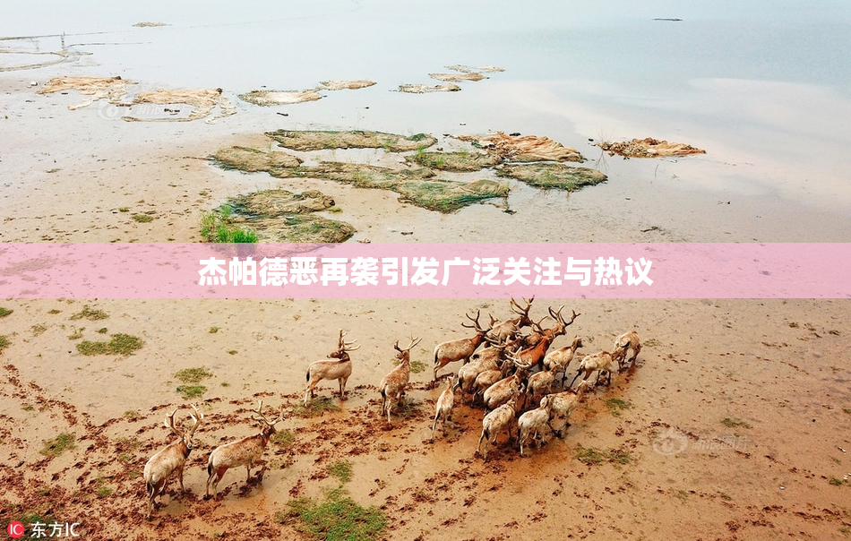 杰帕德恶再袭引发广泛关注与热议