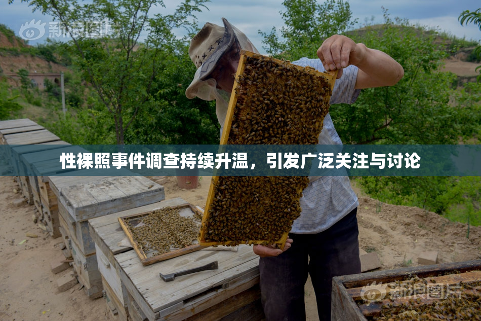 性裸照事件调查持续升温，引发广泛关注与讨论