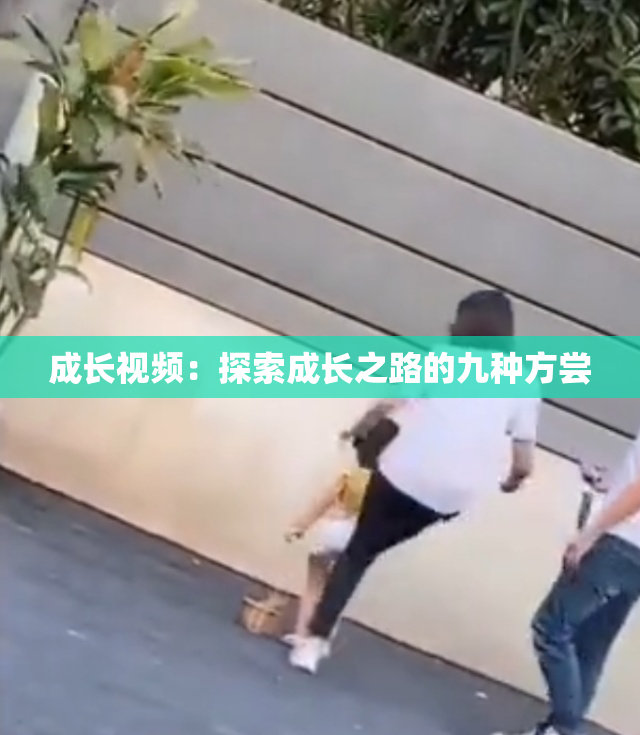 成长视频：探索成长之路的九种方尝