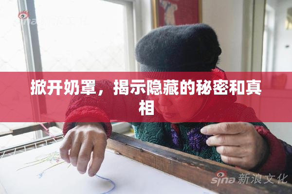 掀开奶罩，揭示隐藏的秘密和真相