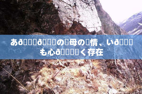 あ🍑👅の✿母の愛情、い😚も心🎆響く存在