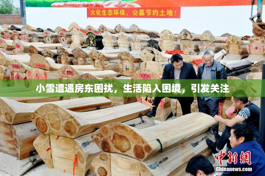 小雪遭遇房东困扰，生活陷入困境，引发关注