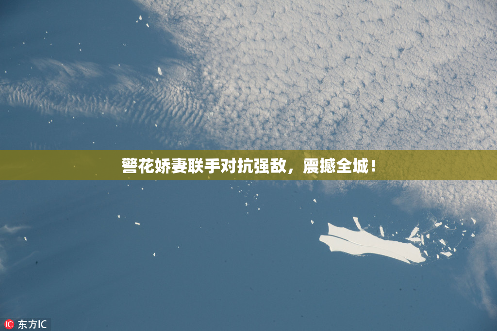 警花娇妻联手对抗强敌，震撼全城！