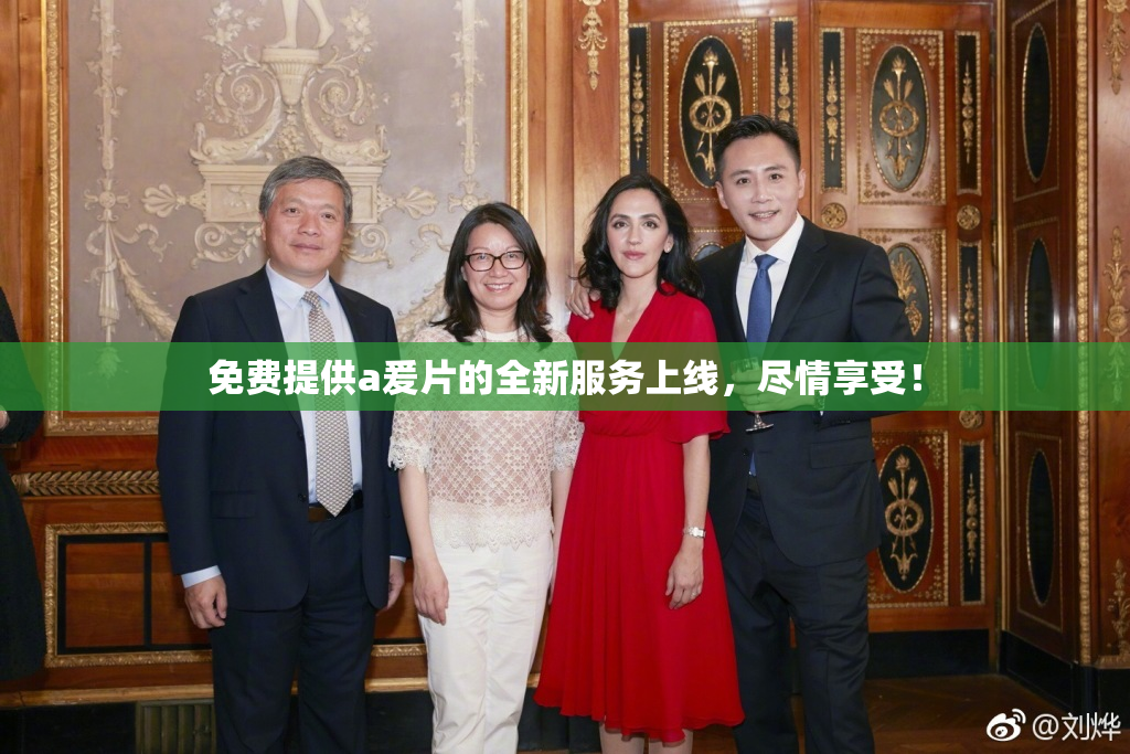 免费提供a爰片的全新服务上线，尽情享受！