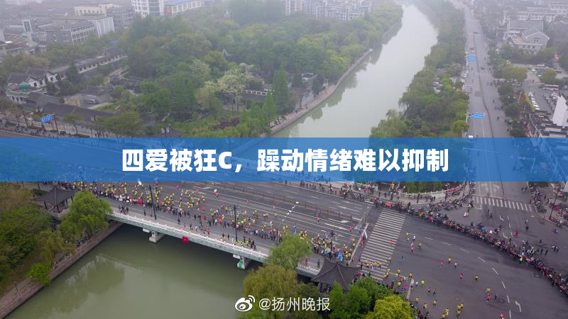 四爱被狂C，躁动情绪难以抑制
