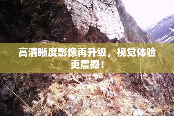 高清晰度影像再升级，视觉体验更震撼！