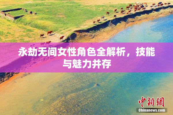 永劫无间女性角色全解析，技能与魅力并存