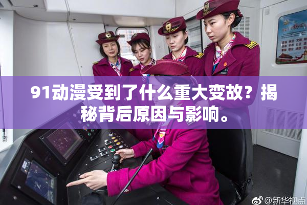 91动漫受到了什么重大变故？揭秘背后原因与影响。