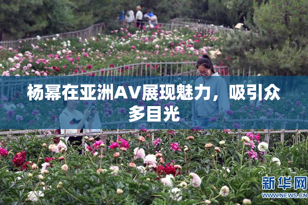 杨幂在亚洲AV展现魅力，吸引众多目光
