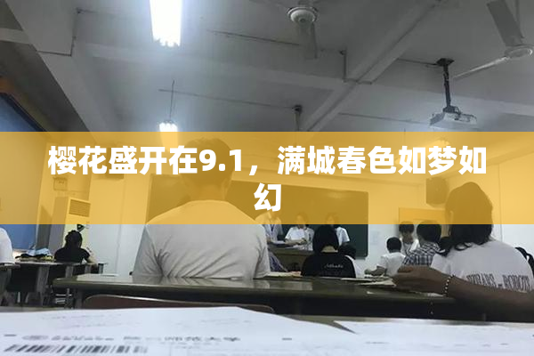 樱花盛开在9.1，满城春色如梦如幻