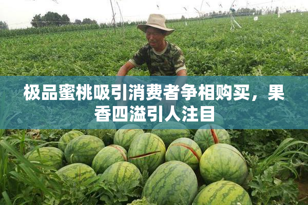 极品蜜桃吸引消费者争相购买，果香四溢引人注目