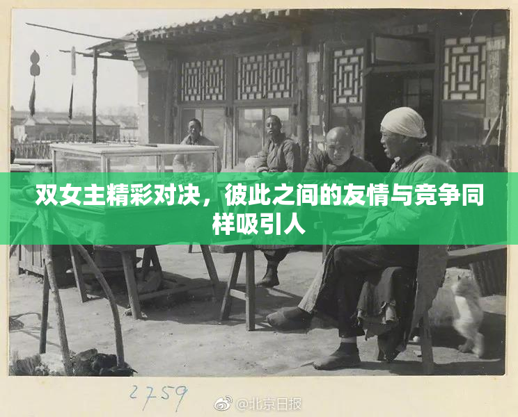 双女主精彩对决，彼此之间的友情与竞争同样吸引人