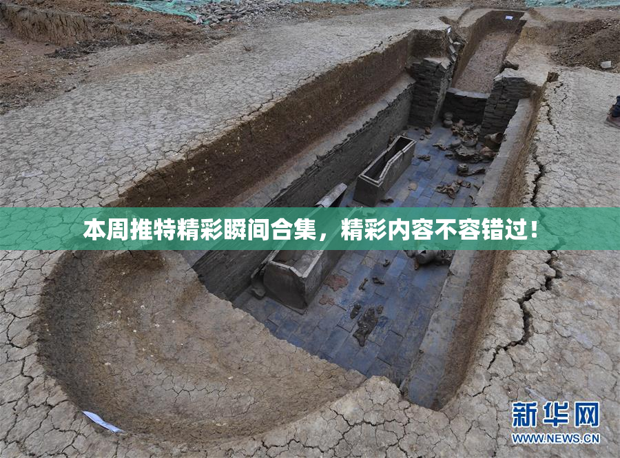 本周推特精彩瞬间合集，精彩内容不容错过！