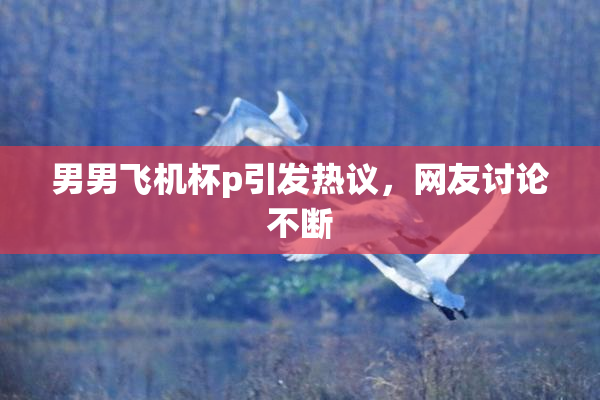 男男飞机杯p引发热议，网友讨论不断