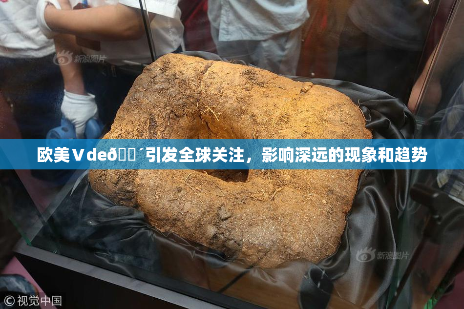 欧美Ⅴde🔴引发全球关注，影响深远的现象和趋势