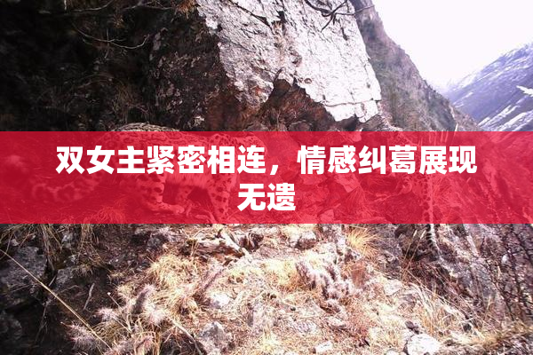 双女主紧密相连，情感纠葛展现无遗