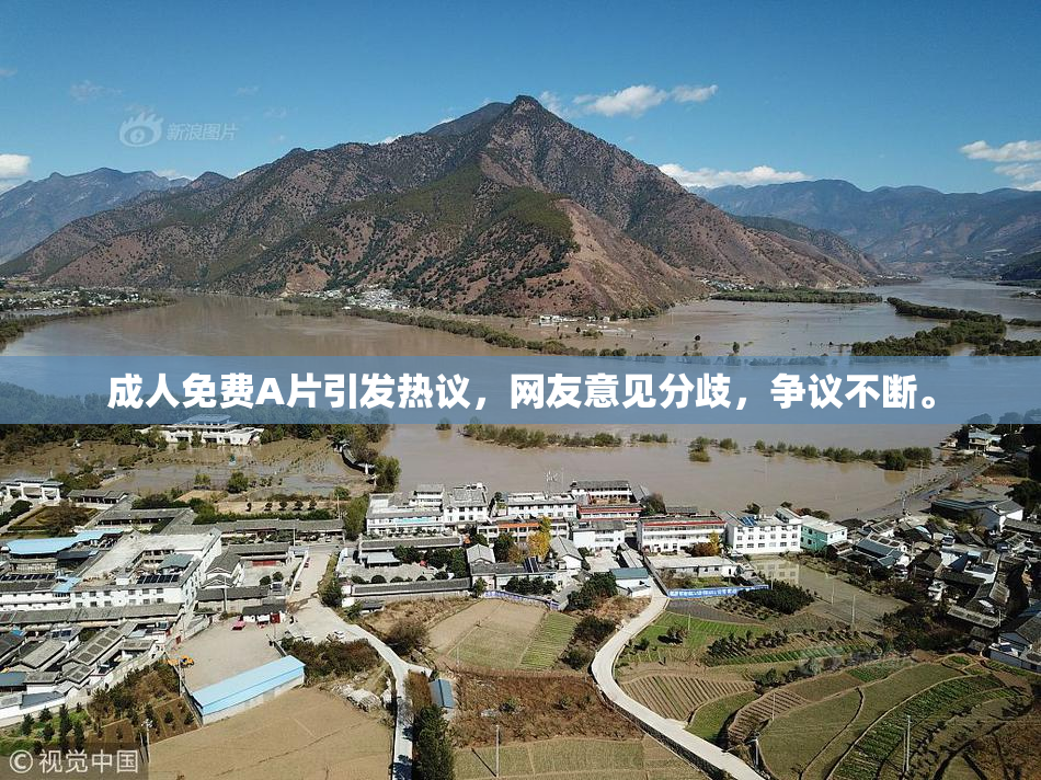 成人免费A片引发热议，网友意见分歧，争议不断。