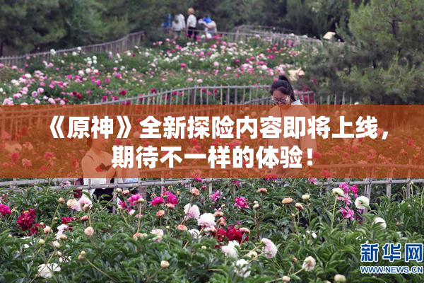 《原神》全新探险内容即将上线，期待不一样的体验！