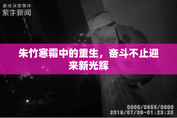 朱竹寒霜中的重生，奋斗不止迎来新光辉