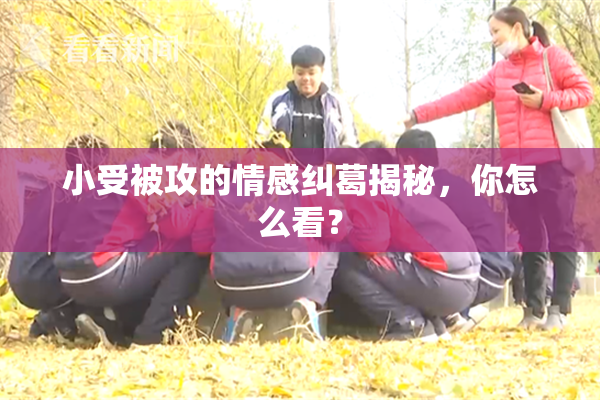 小受被攻的情感纠葛揭秘，你怎么看？