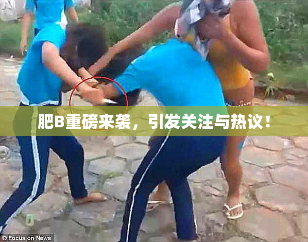 肥B重磅来袭，引发关注与热议！