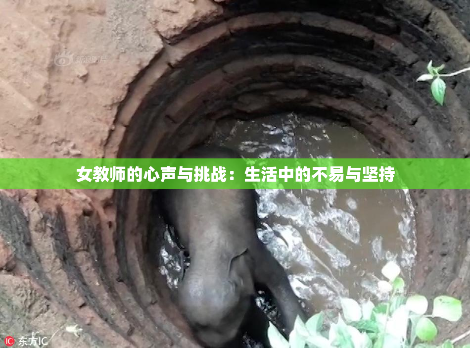 女教师的心声与挑战：生活中的不易与坚持