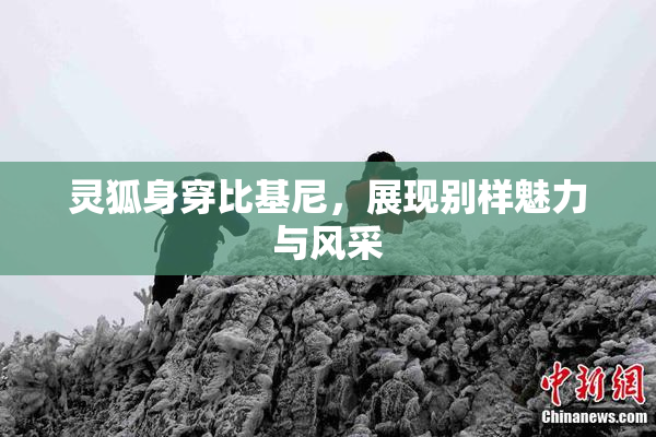 灵狐身穿比基尼，展现别样魅力与风采