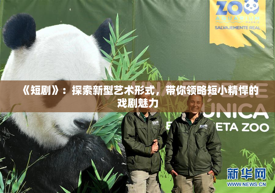 《短剧》：探索新型艺术形式，带你领略短小精悍的戏剧魅力
