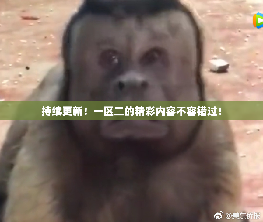 持续更新！一区二的精彩内容不容错过！