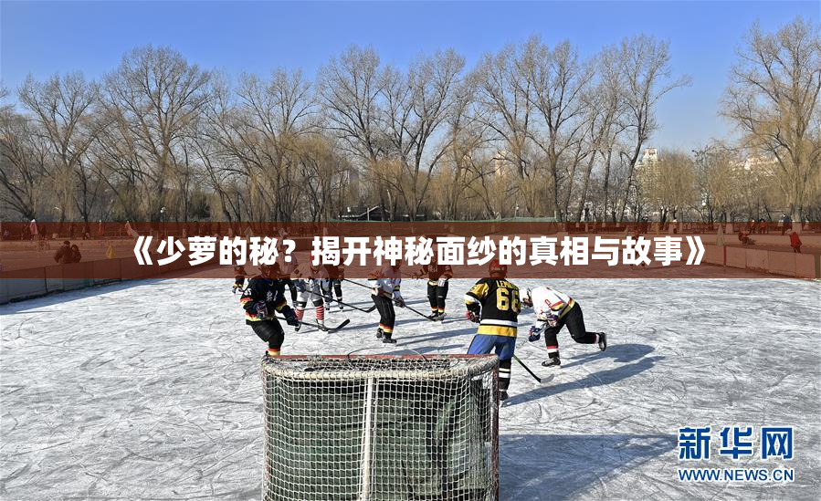 《少萝的秘？揭开神秘面纱的真相与故事》