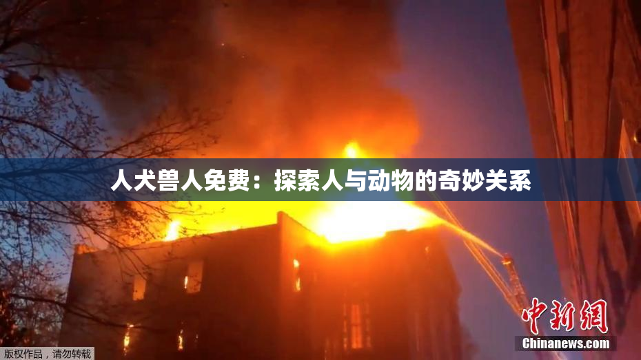 人犬兽人免费：探索人与动物的奇妙关系